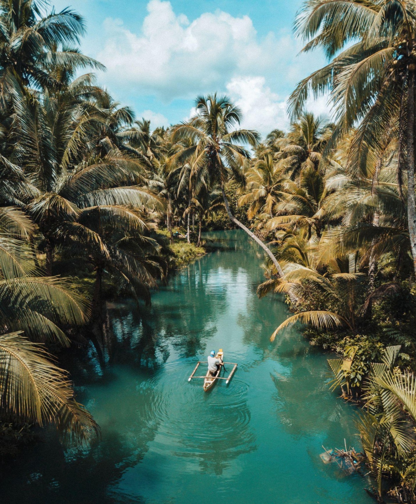 Travel landscape — tropical river